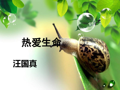 热爱生命汪国真 ppt课件