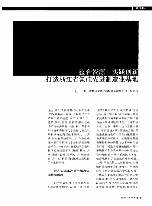 整合资源 实践创新 打造浙江省氟硅先进制造业基地