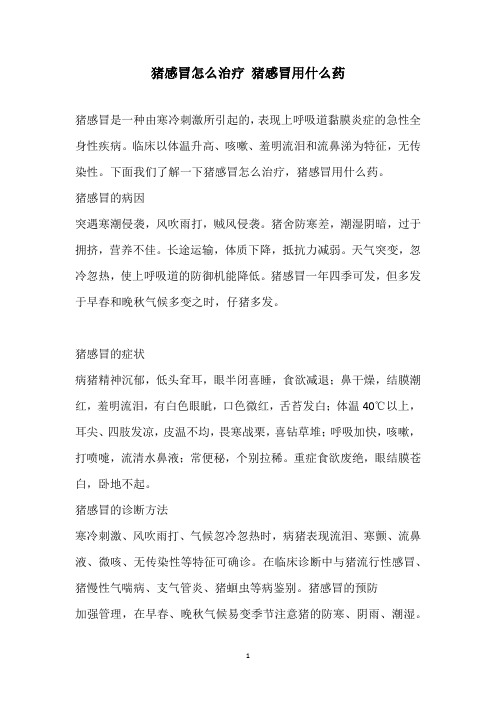 猪感冒怎么治疗 猪感冒用什么药