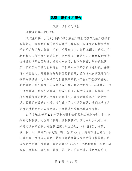 凤凰山煤矿实习报告