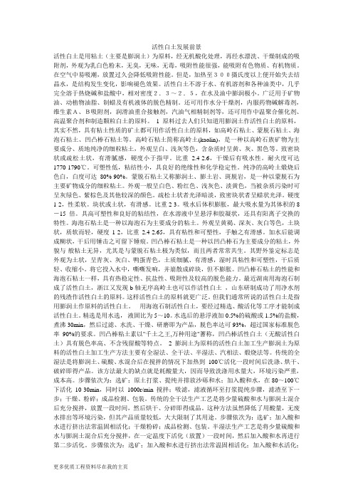 活性白土发展前景word文档