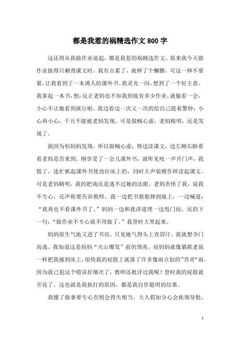 都是我惹的祸精选作文800字