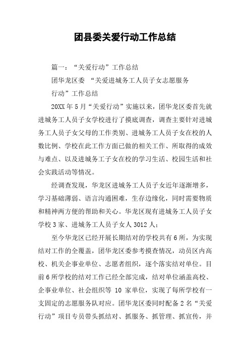 团县委关爱行动工作总结[工作范文]