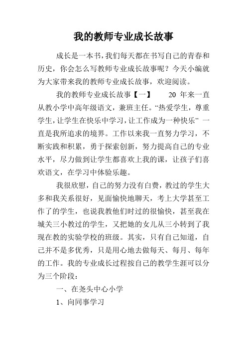 我的教师专业成长故事