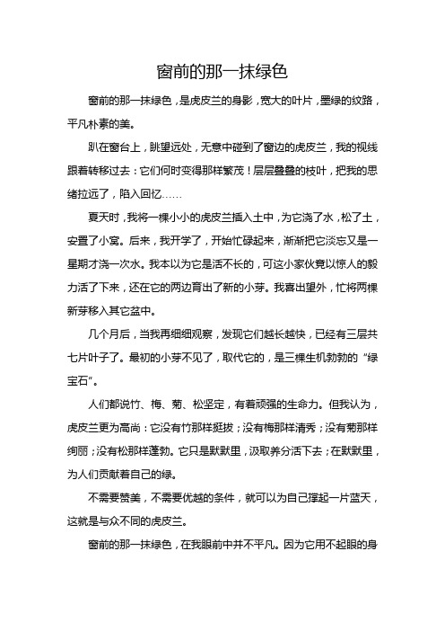 窗前的那一抹绿色