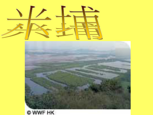 就野生生物物种而言,米埔自然保护区及邻近的湿地素以雀鸟天堂而(精)