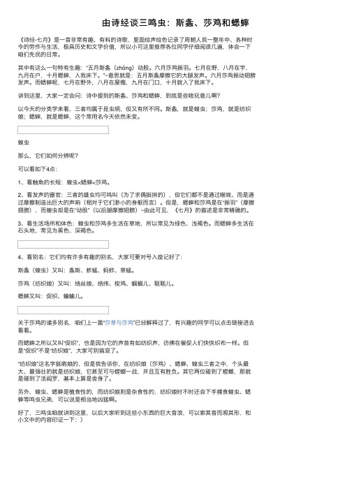 由诗经谈三鸣虫：斯螽、莎鸡和蟋蟀