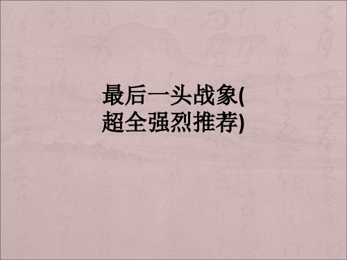 最后一头战象(超全强烈推荐)ppt课件