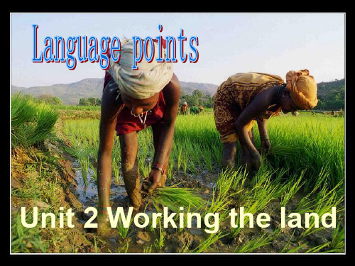 高中英语必修4课件-Unit2 language points