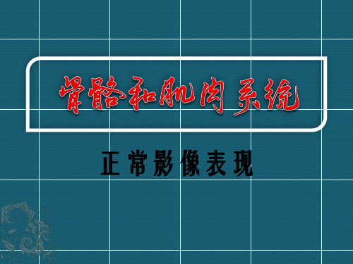 骨骼和肌肉系统基本影像表现