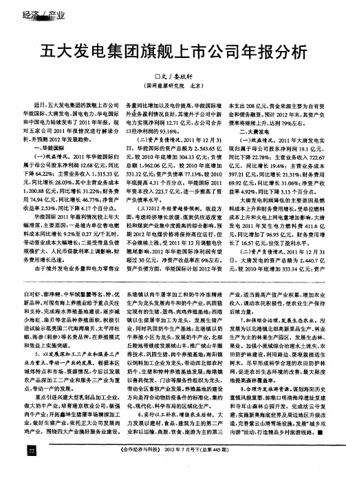 五大发电集团旗舰上市公司年报分析