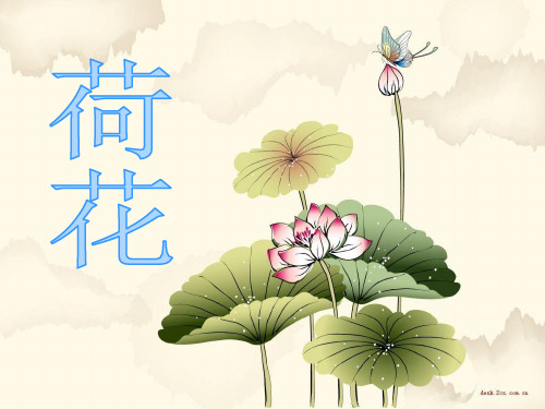 (赛课课件)人教(部编版)三年级下册语文《荷花》(共25张PPT)