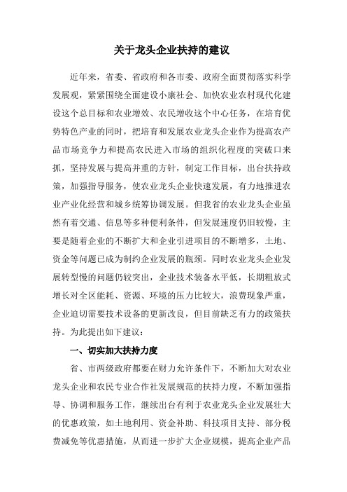 关于如何扶持龙头企业的提案