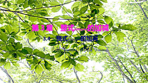 七年级数学上册 第3章 整式的加减 3.4 整式的加减 3去括号与添括号作业课件
