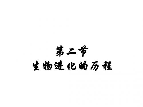 第二十二章  第二节 生物进化的历程(共19张PPT)
