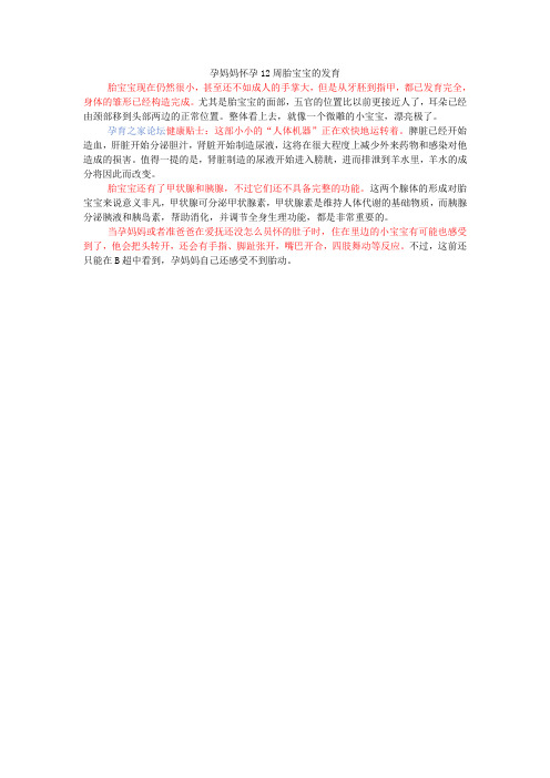 孕妈妈怀孕12周胎宝宝的发育