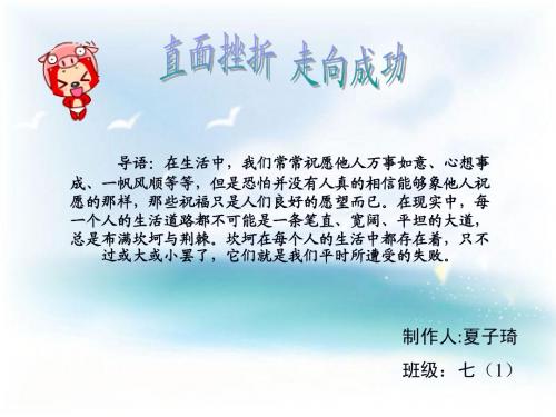 面对挫折走向成功主题班会