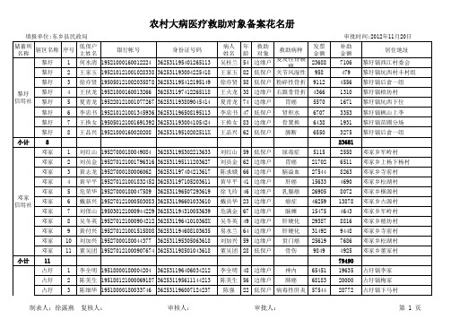 农村大病医疗救助对象备案花名册