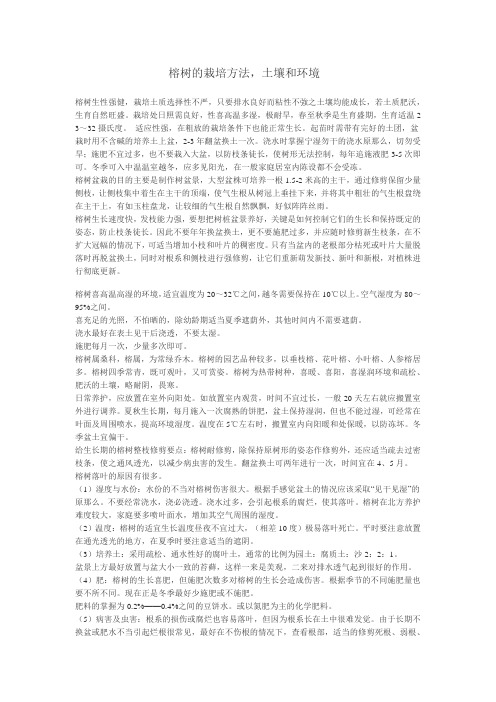榕树及栽培方法,土壤和环境
