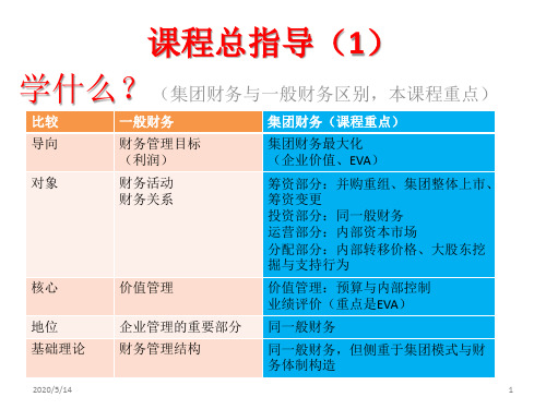 第一章企业集团财务问题与挑战