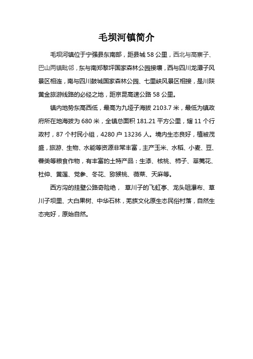 毛坝河镇简介