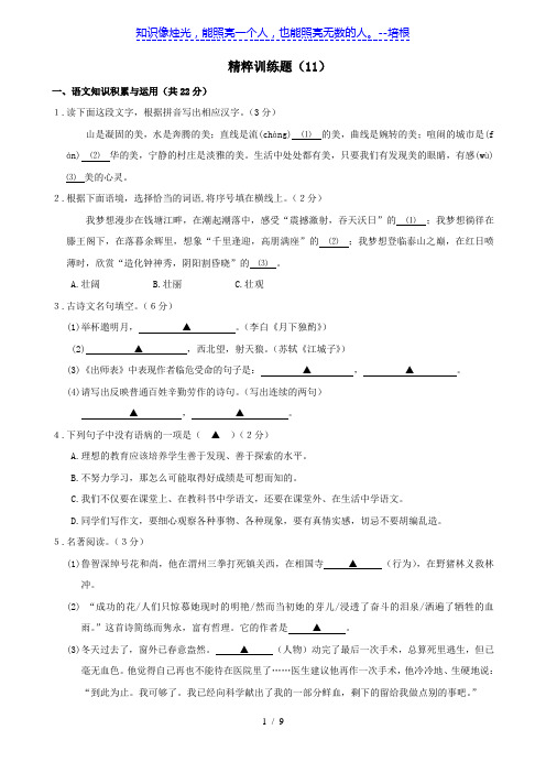 2012中考语文精粹试题训练11(浙江专用)