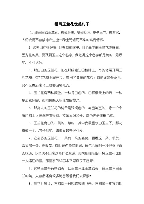 描写玉兰花优美句子