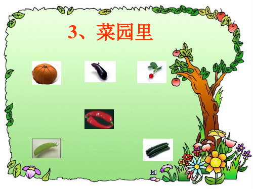 3《菜园里》课件4
