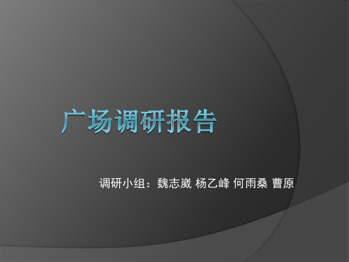 广场设计——西南民族大学广场调研报告