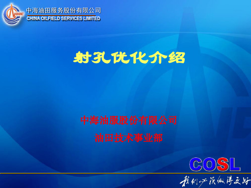 射孔优化介绍