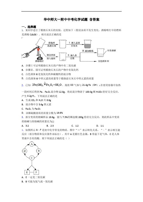 华中师大一附中中考化学试题 含答案