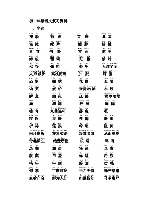 初一下语文复习资料
