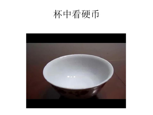 第5节光的反射与折射第3课时