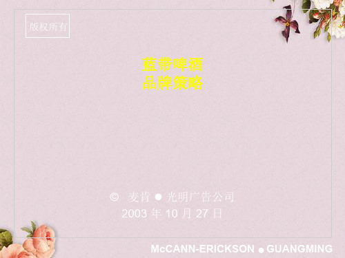 蓝带啤酒的品牌策略(ppt 113页)