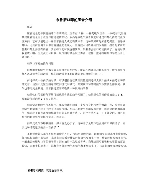 布鲁斯口琴的压音介绍