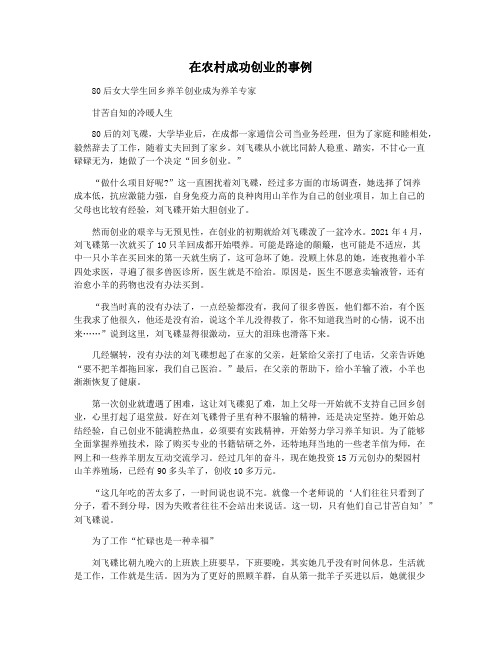 在农村成功创业的事例