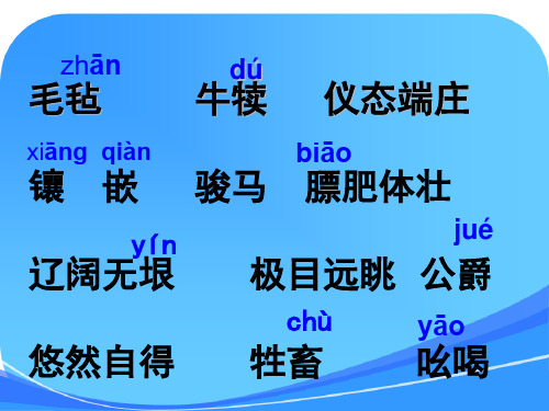 四年级语文下册《牧场之国》(精简版)