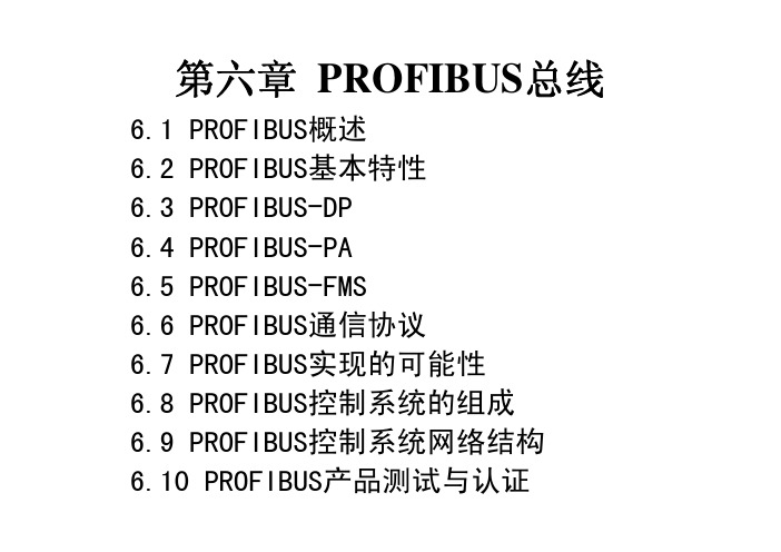 PROFIBUSPA设备行规