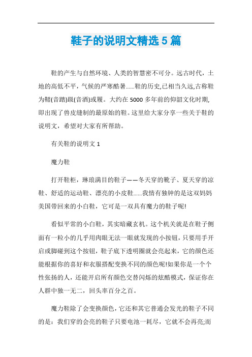 鞋子的说明文精选5篇