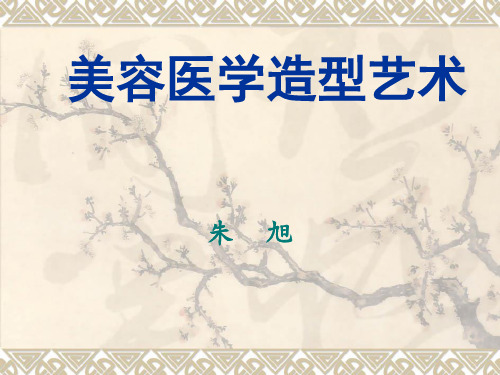 美容医学造型艺术讲稿
