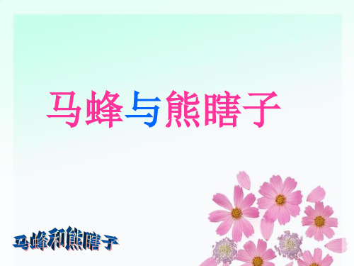 11《马蜂与熊瞎子》课件
