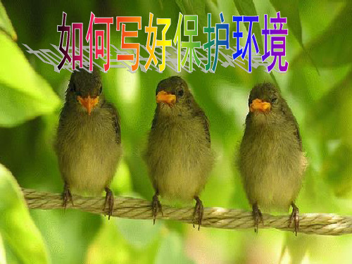 三下保护环境作文指导课件 PPT