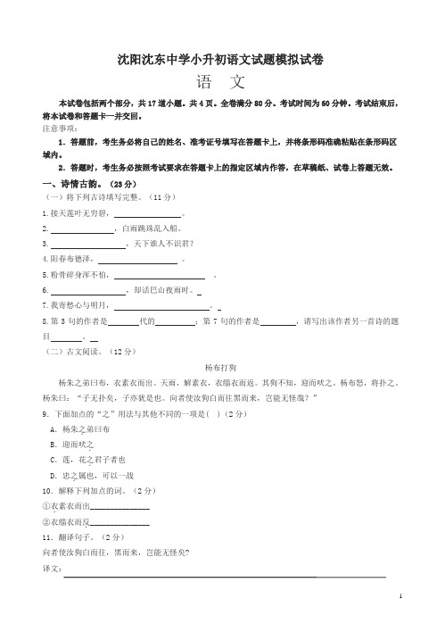 六年级下册语文试题-沈阳沈东中学小升初语文试题模拟试卷语文S版(文档版)(含答案)
