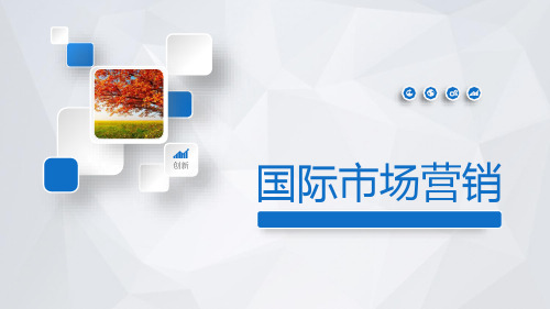 国际市场竞争战略