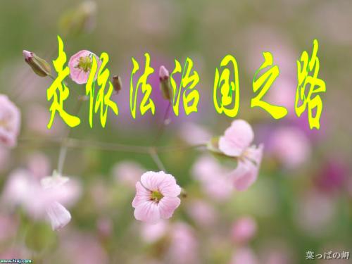 17课项目一走依法治国之路-精品文档