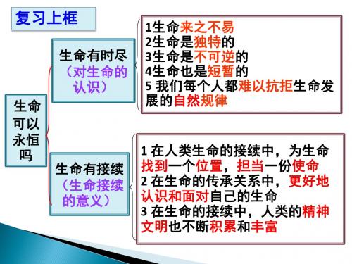 (部编)人教版初中七年级上册道德与法治《第八课探问生命：敬畏生命》名师ppt课件_0