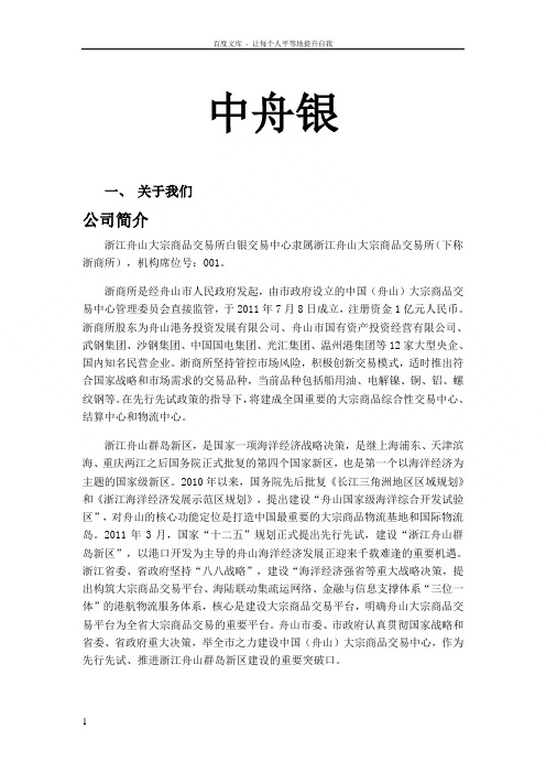 中舟银简介