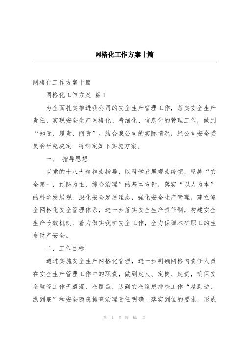 网格化工作方案十篇