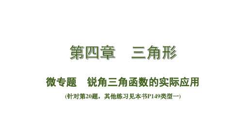 中考数学总复习考点系统复习微专题 锐角三角函数的实际应用