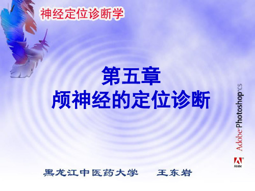 面神经